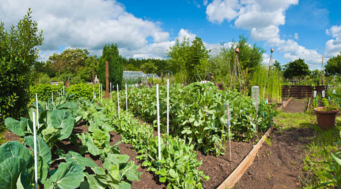 Deuxième jardin