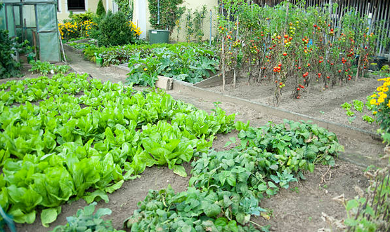 Troisième jardin