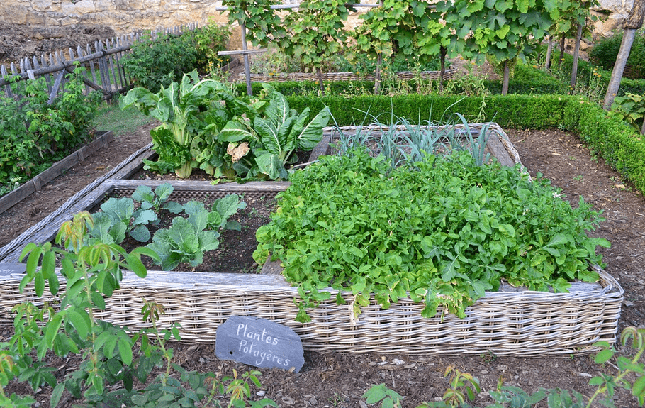 Quatrième jardin